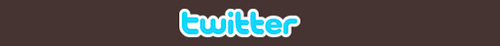 Twitter Logo On Color Background Strip